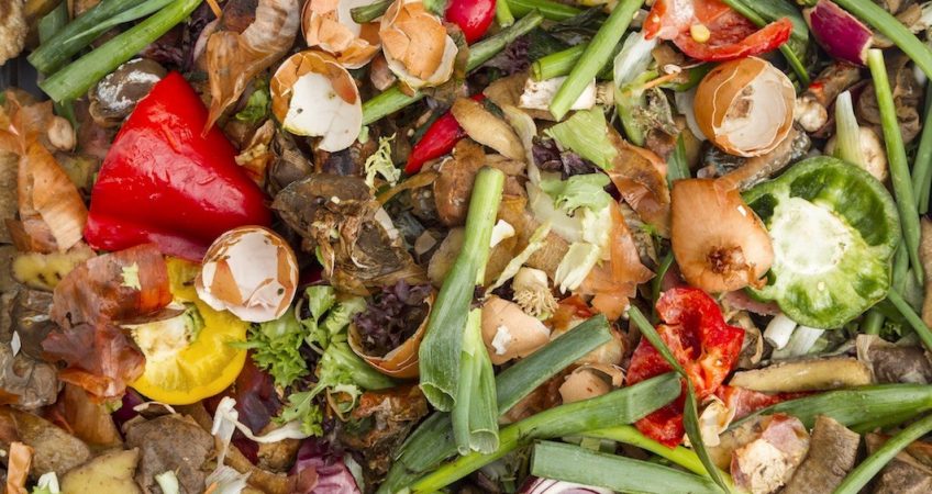 Organic Waste Recycling