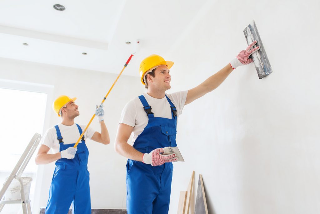Professional Painter