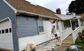 Expert Painter