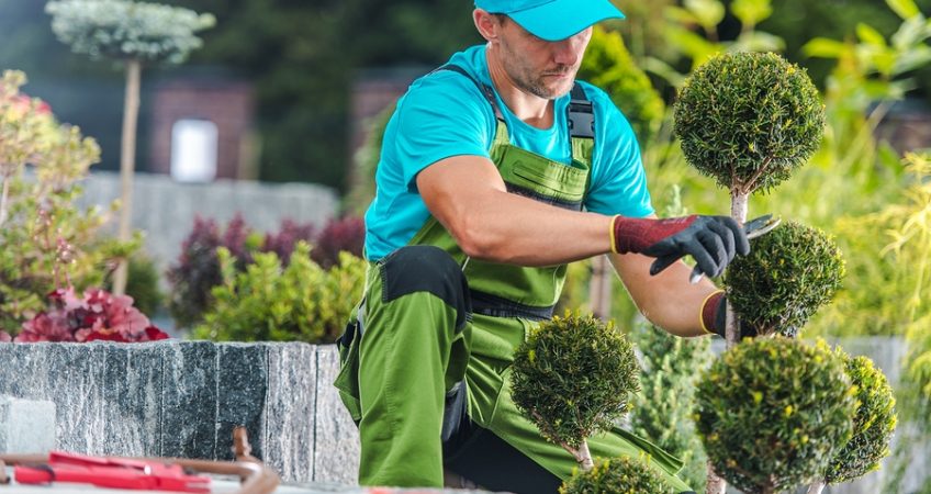landscaper Williamstown
