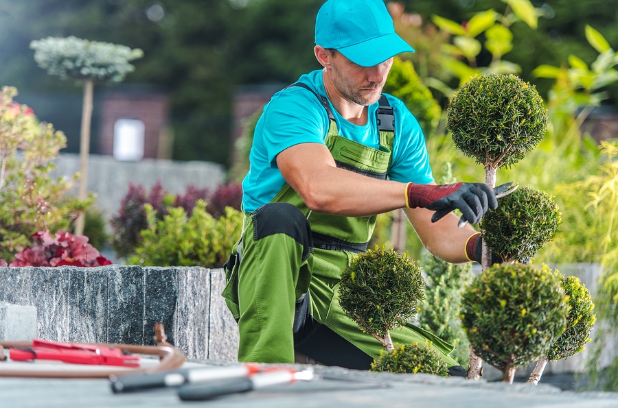 landscaper Williamstown