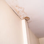 plaster ceilings repair