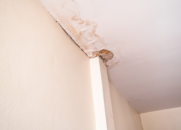 plaster ceilings repair