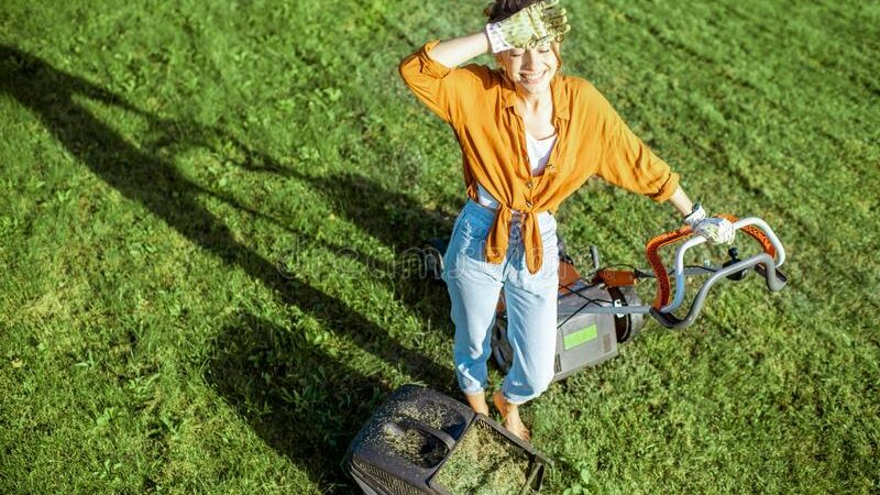 Lawn Mowing
