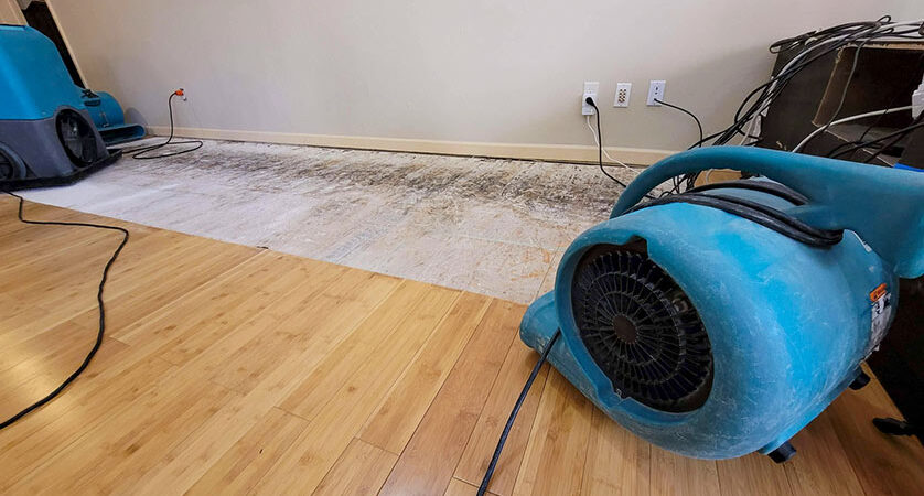 emergency flood restoration Melbourne