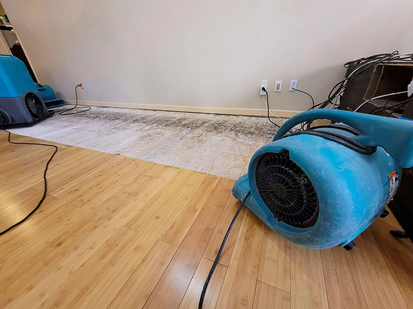 emergency flood restoration Melbourne